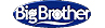 BigBrother-Logo